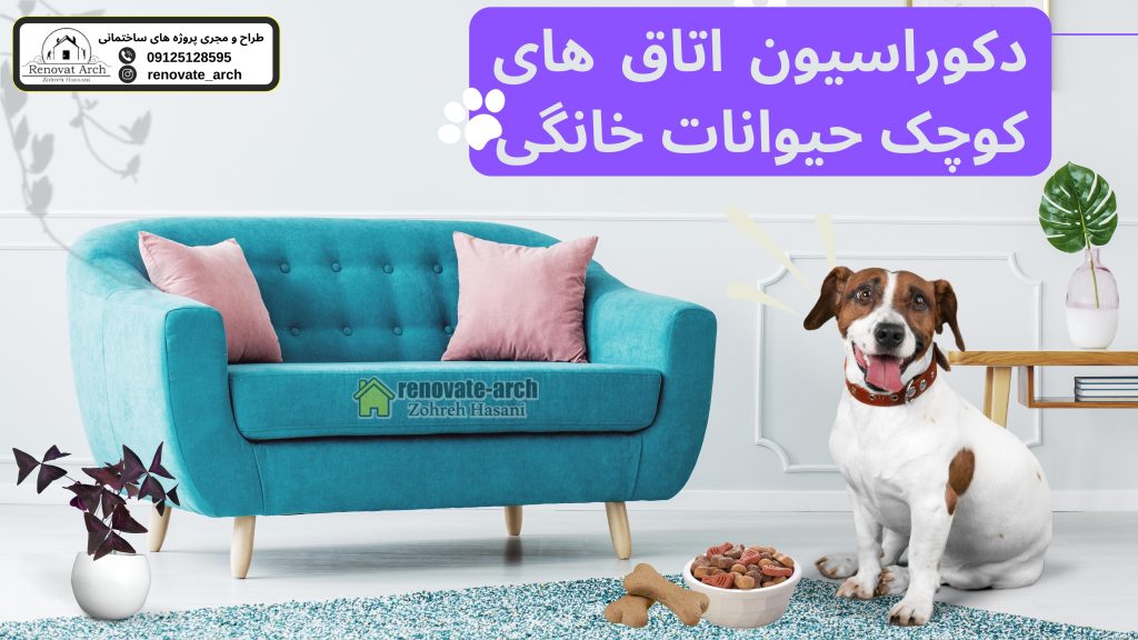دکوراسیون اتاق های کوچک حیوانات خانگی دکوراسیون اتاق های کوچک حیوانات خانگی